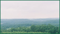 Valley Panorama - photo Ernie Black